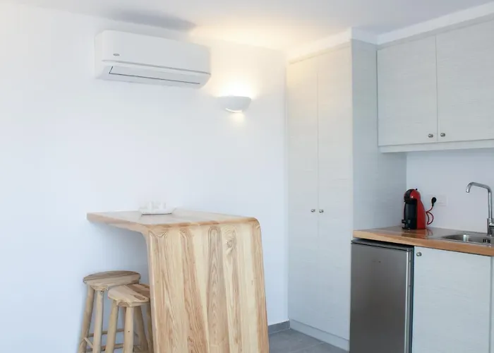 Σπίτι διακοπών The Elaia House Mykonos