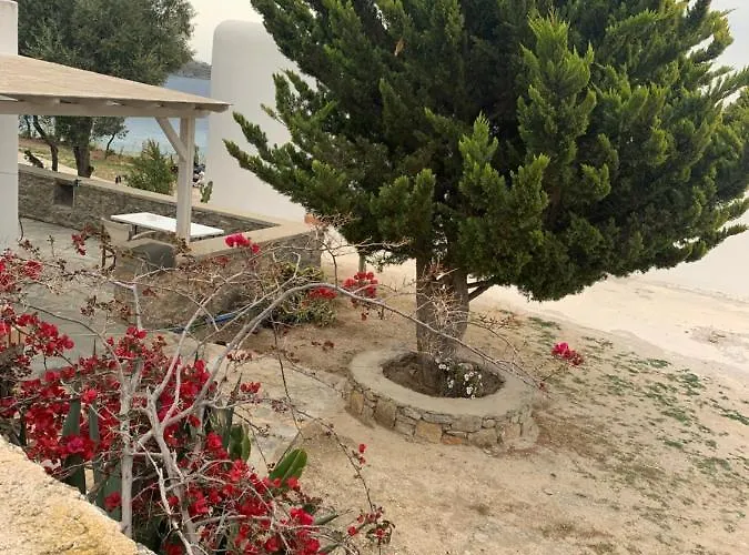 Σπίτι διακοπών The Elaia House Mykonos