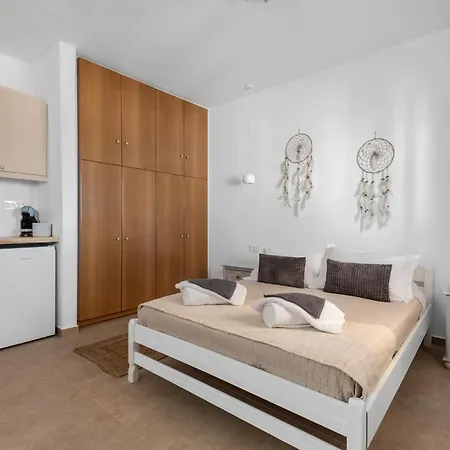 Σπίτι διακοπών The Elaia House Mykonos *