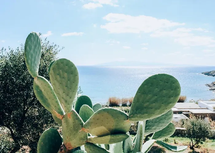 Hébergement de vacances The Elaia House Mykonos *