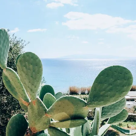 Semesterbostad The Elaia House Mykonos *