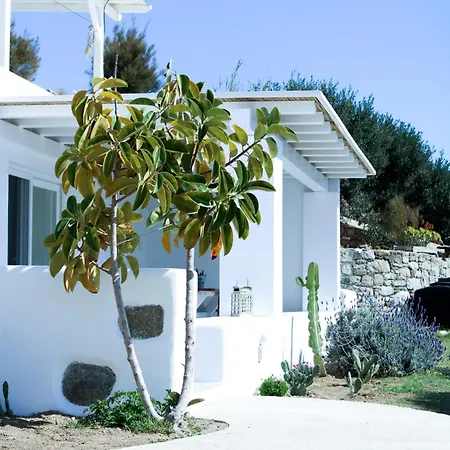 Nyaraló The Elaia House Mykonos