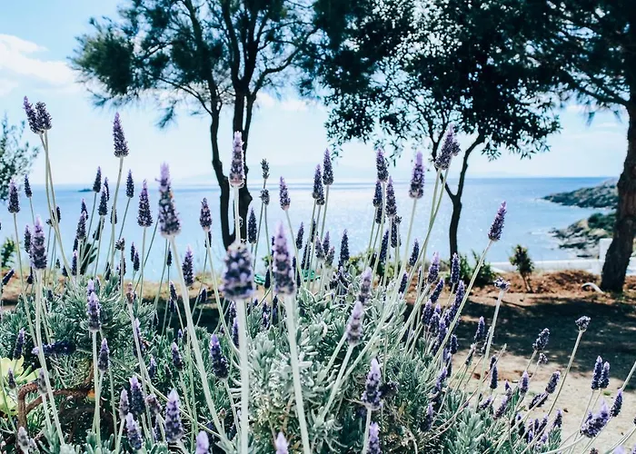 Nyaraló The Elaia House Mykonos *