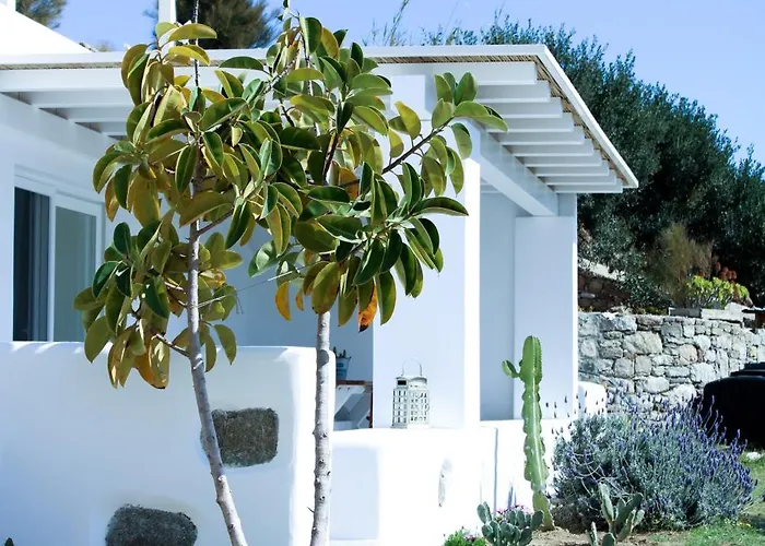 Tatil Evi The Elaia House Mykonos
